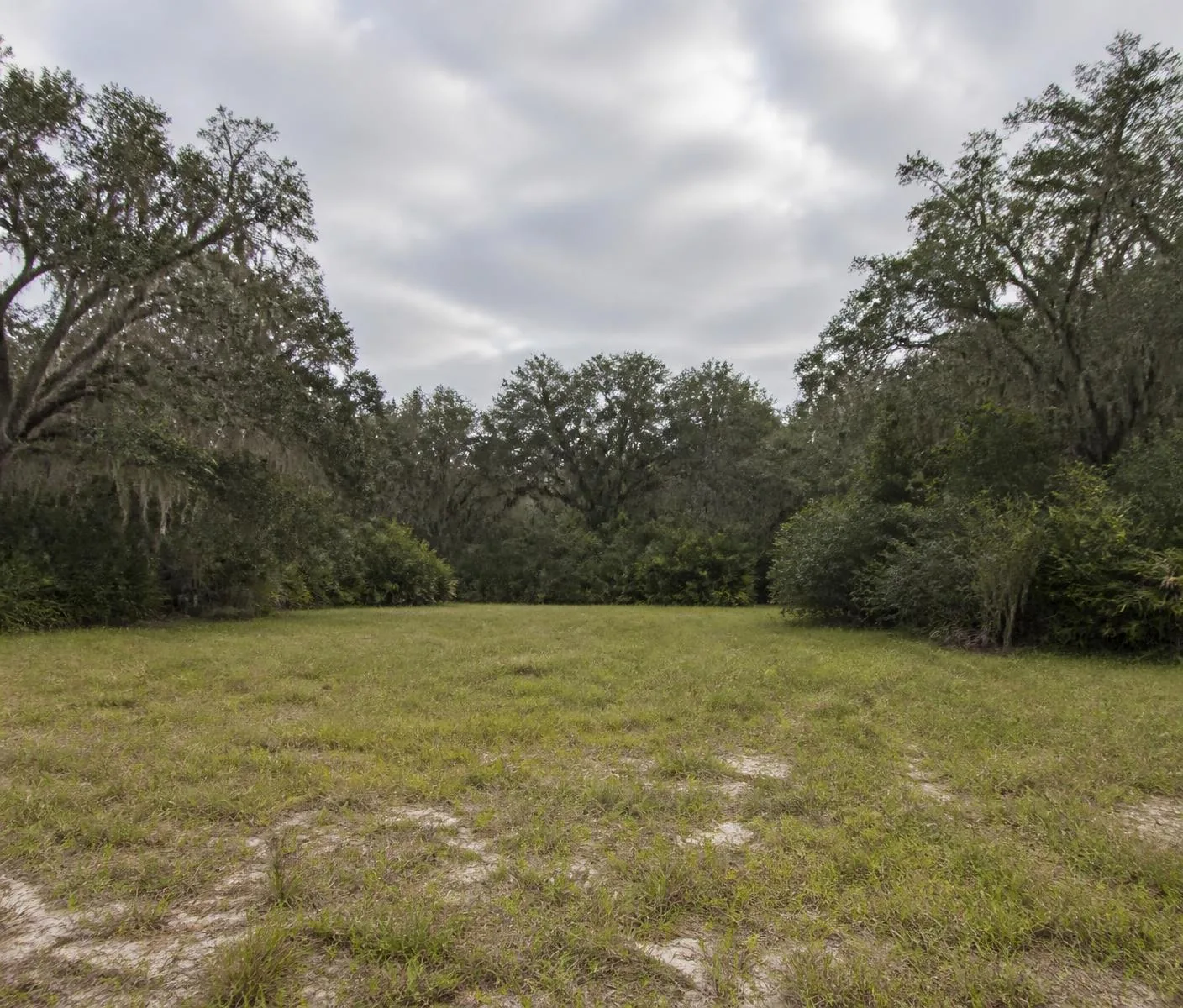Cleared grassy land parcel framed by oak trees in Florida